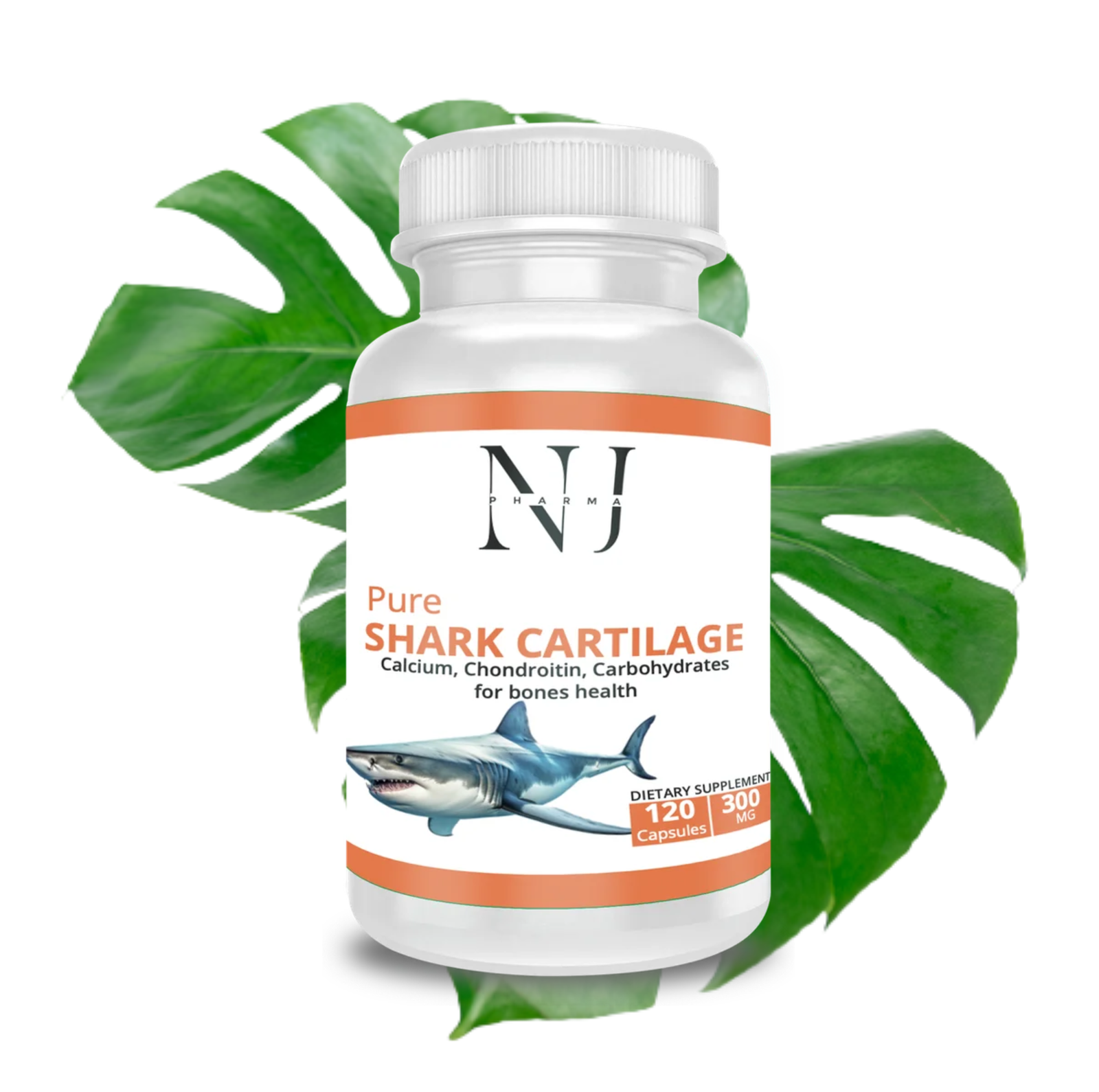 CARTILAGE DE REQUIN (120 gélules)